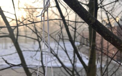 Der Umwelt helfen- Die 6b hilft den Vögeln bei der Nahrungssuche